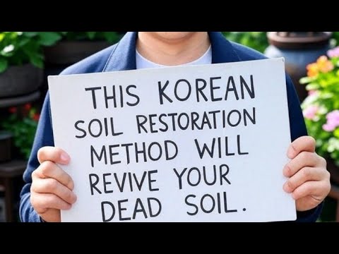 THIS KOREAN SOIL RESTORATION METHOD WILL REVIVE YOUR DEAD SOIL