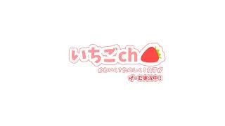 いちごちゃんネル のライブ配信