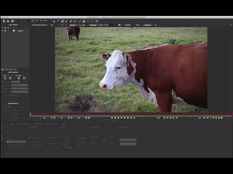 Tutorial: Tip Bundle 01