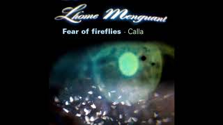 Fear of Fireflies (cover version)