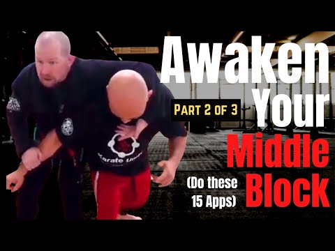 15 Middle Block Apps - From Japanese Jits, Goju, and JKD