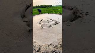 Download lagu Lapindo mud becomes a mountain in the rice fields #minimountain #lapindomud #viralvideo mp3 Download lagu Lapindo mud becomes a mountain in the rice fields #minimountain #lapindomud #viralvideo mp3