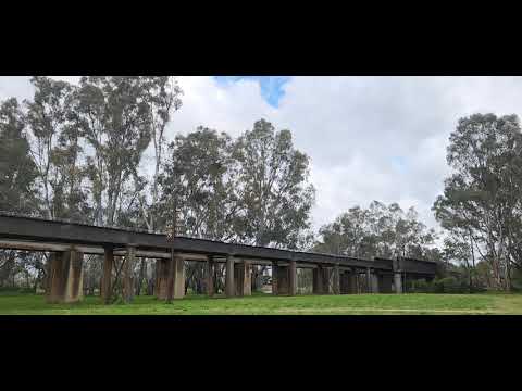 Melbourne to Sydney XPT at Benalla, Victoria, Australia.