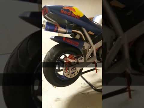 Red Bull racing Minimoto, custom CAG