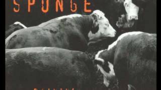 Fields - &quot;Sponge&quot; 1994 Rare Live