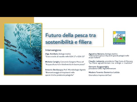 , title : 'Futuro della pesca tra sostenibilità e filiera'