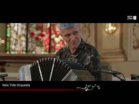 New Tide Orquesta - Swan Crash Concert Still Life - Boda Live 2021