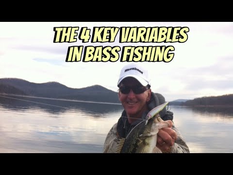 How Changing Weather And Lake Conditions Affect Bass Behavior…