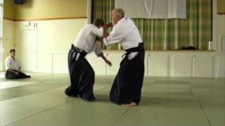 preview picture of video 'Aikido Demonstration Mats Ahlin (2010)'