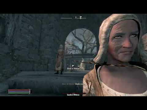 the guards are so stupid that they attack dragon's blood