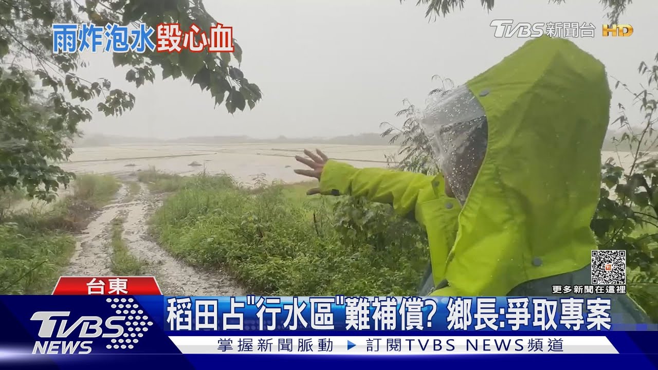 池上很慘! 稻田全泡水農民怒:求助沒用