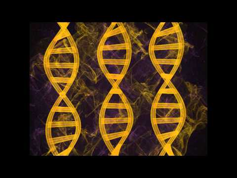 The Codes of Form (DNA Activation)