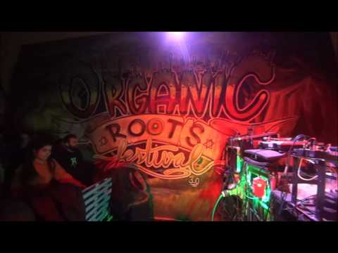 Channel One Soundsystem-Organic Roots Sound System Session
