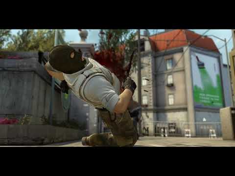 [CS:GO] zion - fragmovie by fLpEdits