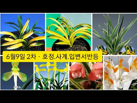 유튜브 썸네일