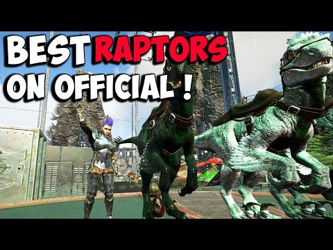 Raptie Raptors the WORLDS BEST RAPTORS on OFFICIAL ! - ARK Survival Evolved Gameplay