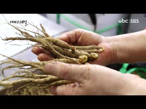 [테마스페셜] 삼으로 사는 삶