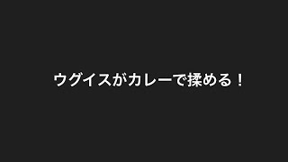 カレー事件ふたたび