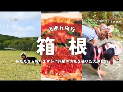 YouTube動画を再生