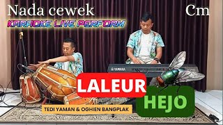 Download lagu Laleur hejo karaoke (Azmy.Z) nada cewek Cm mp3