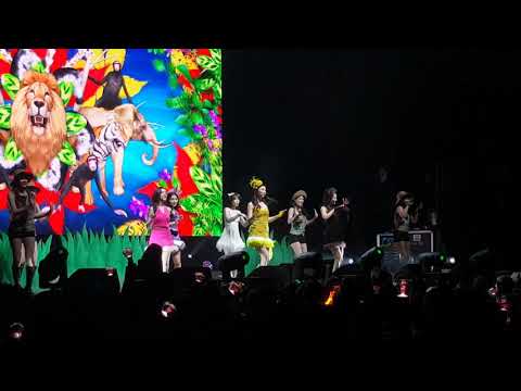 190219 Red Velvet REDMARE in Toronto - Zoo