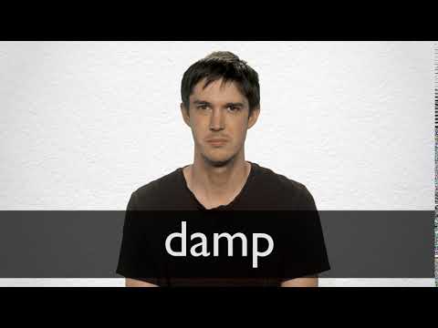 Damp definition and meaning | Collins English Dictionary Damp definition and meaning | Collins English Dictionary