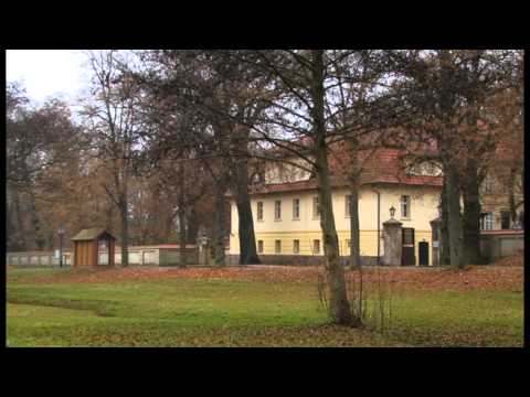 Historische Dorfkerne - Sauen