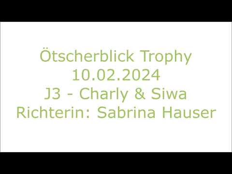 Agility Course by Sabrina Hauser - 10.02.2024 / Jumping 3