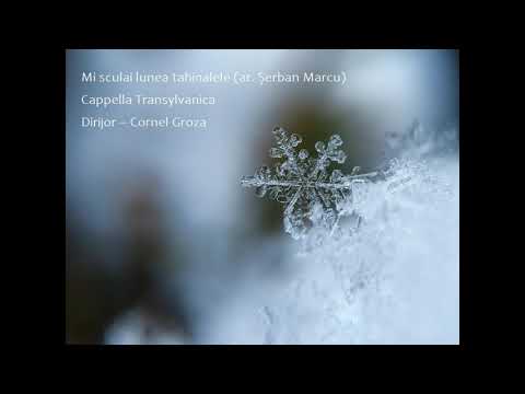 Mi sculai lunea tahinalele - ar. Șerban Marcu (Cappella Transylvanica, dir. Cornel Groza)