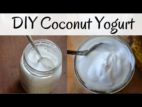 DIY Best Coconut Yogurt Ever // 1 Ingredient Only!
