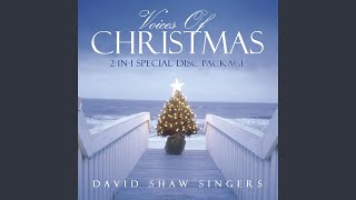 Medley 2: O Come All Ye Faithful / Silver Bells / Silent Night