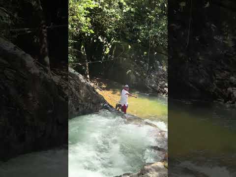 15 de octubre de 2025