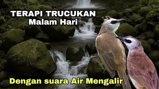 Download lagu TERAPI TRUCUKAN MALAM HARI - TERAPI TRUCUKAN STRES & TRUCUK MACET BUNYI Agar cepat gacor mp3