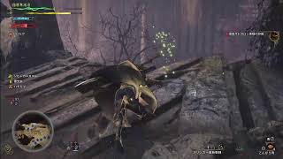【 #MHWs 】モンハンワイルズのハンター稼業を開始する(HR19から)