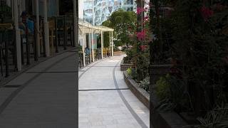 Is Wonder of the Seas WORTH IT? $0 vs $59