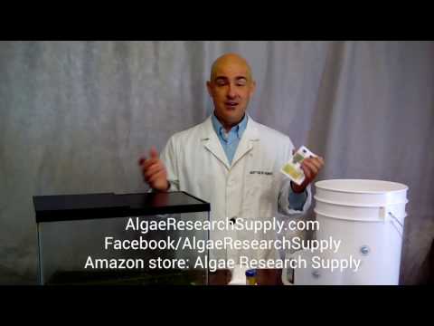 5-Gallon Algae Culture Kit