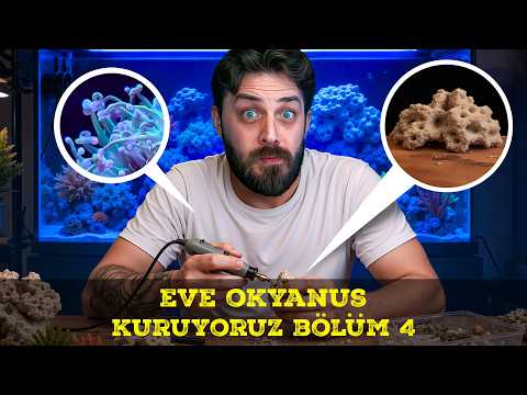 BUILDING AN OCEAN AT HOME PART 4 - SALTWATER AQUARIUM