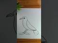 Drawing Video Cokil Shors Drawing