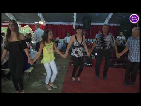 Punoletstvo kod Nikole Štuletovog u Brgulama - KOLO