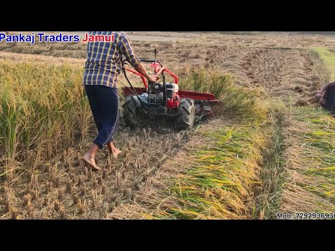 VST Shakti 5pr Reaper | फसल काटने की मशीन🌾 | #pankajtradersjamui #vst 
