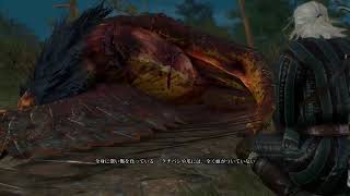 ウィッチャー3