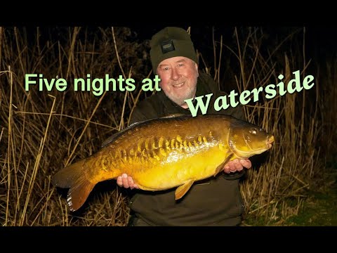 five nights at waterside