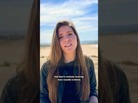 What Our Reporter Saw in Southern Lebanon