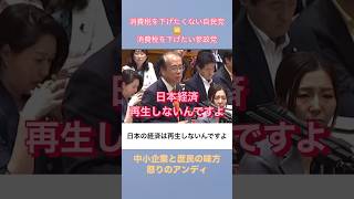 庶民の苦しみが分からない自民党に呆れる参政党の安藤幹事長