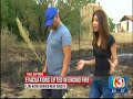 Tucson Reporter R Asian Reporter Rocking Jeans