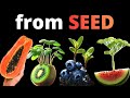 I Filmed EXOTIC Plants For 1001 DAYS