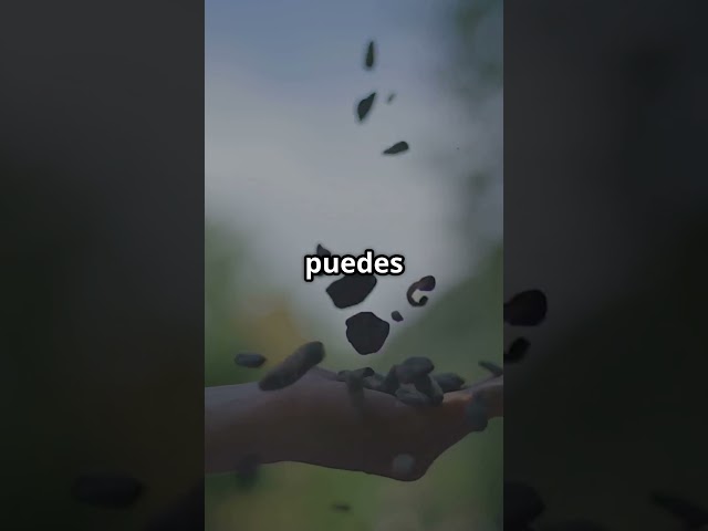 Vídeo relacionado con Ansiedad en la era moderna: Desvelando los secretos de la ansiedad y conquistando la calma interior