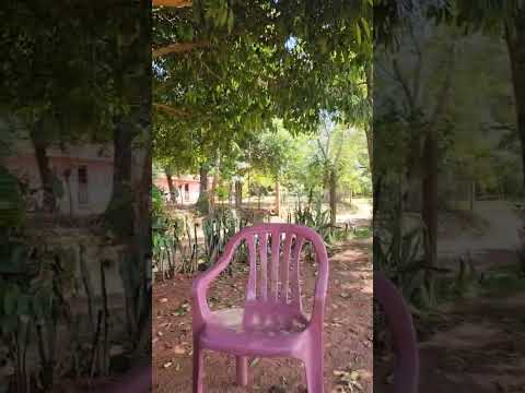 Santa María Misiones 🥰