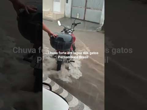 chuva forte em lagoa dos gatos Pernambuco Brasil