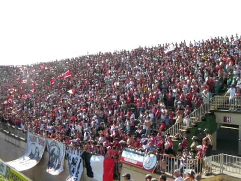 festa na arena joinville